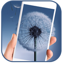 Dandelion WallHub (Keyboard) APK