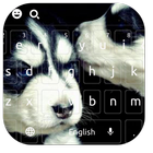 Clavier noir blanc Cool Dog icône