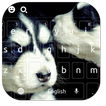 Black White Cool Dog Keyboard