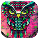 Owl Dream Catcher Keyboard Theme APK