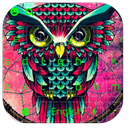 APK Owl Dream Catcher Keyboard Theme