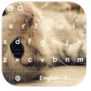Sevimli Kedi klavye APK