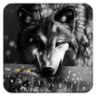 Wolf Keyboard