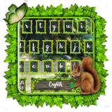 آیکون‌ Rain Forest Keyboard 2D