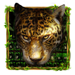 léopard dans la jungle clavier