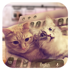 Twins cat keyboard biểu tượng