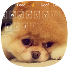 Cute Akita Dog Animal Keyboard ikon