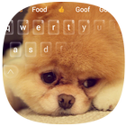 Cute Akita Dog Animal Keyboard icône