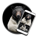 Bear the keyboard theme APK