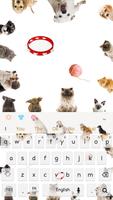 Hou van kitty hond toetsenbord thema-poster