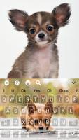 Chihuahua Cute Puppy keyboard Theme screenshot 3