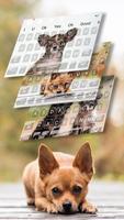 Poster Tema di tastiera cucciolo carino di Chihuahua