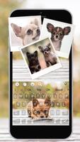 Chihuahua Cute Puppy keyboard Theme screenshot 1