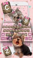 Fluffy Puppies poster