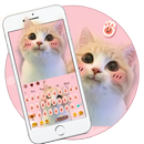 Sevimli Pembe Kedi Klavye APK