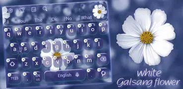 White Daisy Keyboard Theme