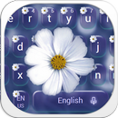 White Daisy Keyboard Theme APK