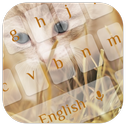 Kitten Theme for Huawei P8 APK