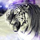 Fierce Wild Tiger Keyboard-APK