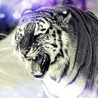 Fierce Wild Tiger Keyboard icône