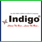 Indigo Fans icono