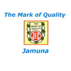 Jamuna icône