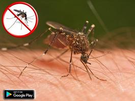 Anti Mosquitoes - No Mosquitoes prank screenshot 3