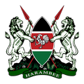 Kenyan Constitution
