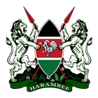 Kenyan Constitution icon