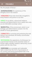 Kenyan Constitution Ekran Görüntüsü 1