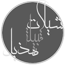 شيلات هذيل بدون نت APK
