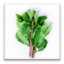 Khat APK