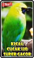 Kicau Cucak Ijo Super Gacor ポスター