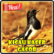 Kicau Kacer Super Gacor