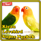 Kicau Lovebird Super Ngekek biểu tượng