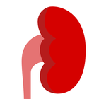Kidney Health Logbook for CKD, AKI, Renal patients ícone