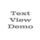 Text view Demo APK