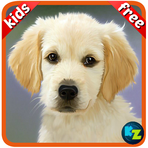 Kids Preschool Learning Cards