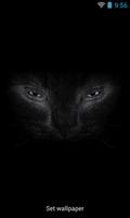 Black cat eyes live wallpaper capture d'écran 1