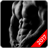 Abs Workout - No Equipment