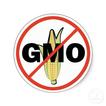 Alimentos Transgenicos GMO