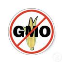 Alimentos Transgenicos GMO APK
