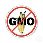 Alimentos Transgenicos GMO 圖標