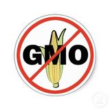 Alimentos Transgenicos GMO icon