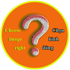 Choose image right 图标