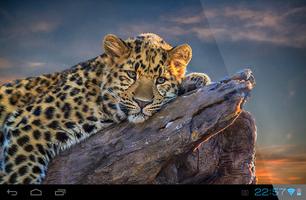 Cheetah Live Wallpaper syot layar 2