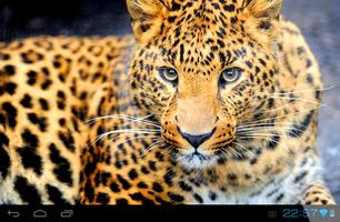 Cheetah Live Wallpaper imagem de tela 3