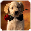 ”Puppies Live Wallpaper