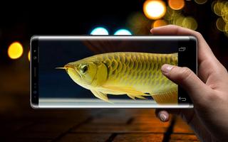 New Arowana Gold LiveWallpaper ảnh chụp màn hình 2