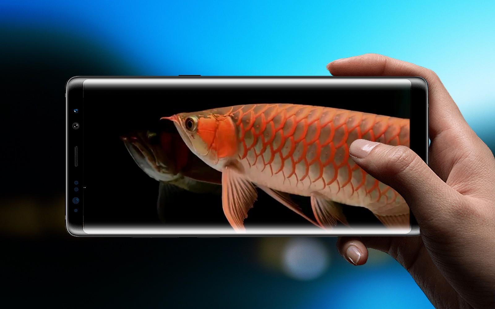 無料で New Arowana 3d Live Wallpaper アプリの最新版 Apk1 0をダウンロードー Android用 New Arowana 3d Live Wallpaper Apk の最新バージョンをダウンロード Apkfab Com Jp 無料で New Arowana 3d Live Wallpaper アプリの最新版 Apk1 0をダウンロードー Android用 New Arowana 3d Live Wallpaper Apk の最新バージョンをダウンロード Apkfab Com Jp